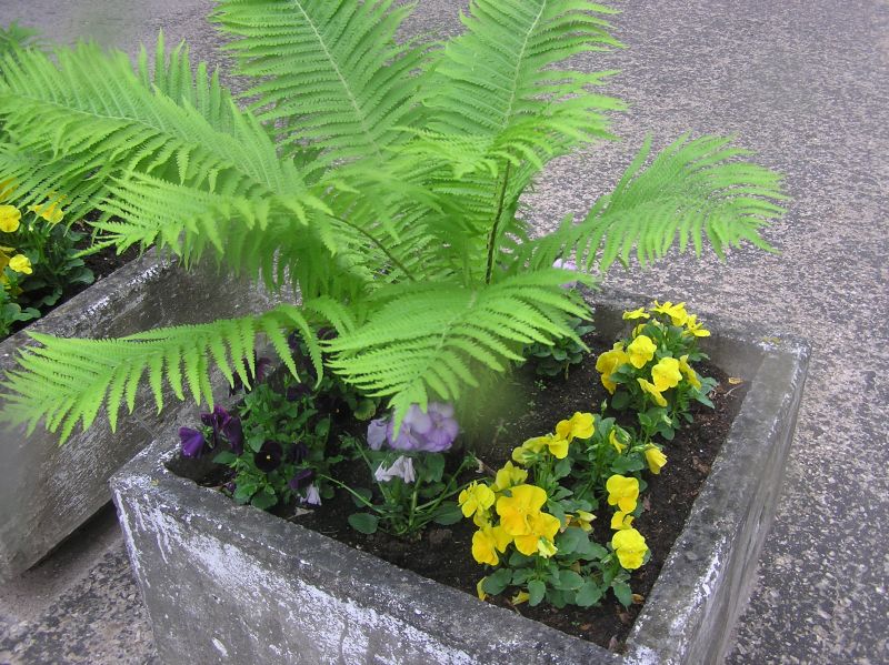2013-05-29-34.jpg