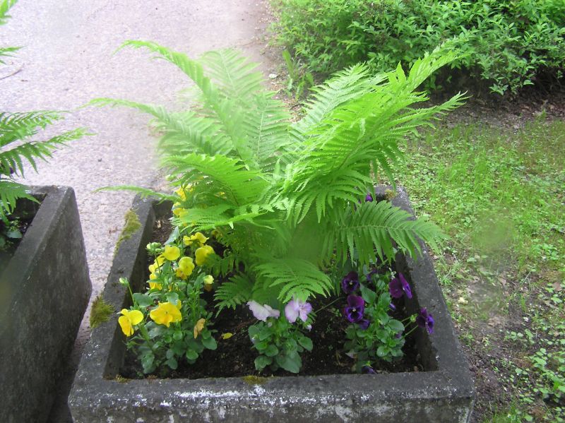 2013-05-29-35.jpg