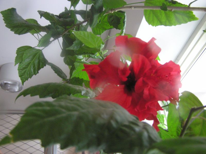 2013-05-29-40.jpg