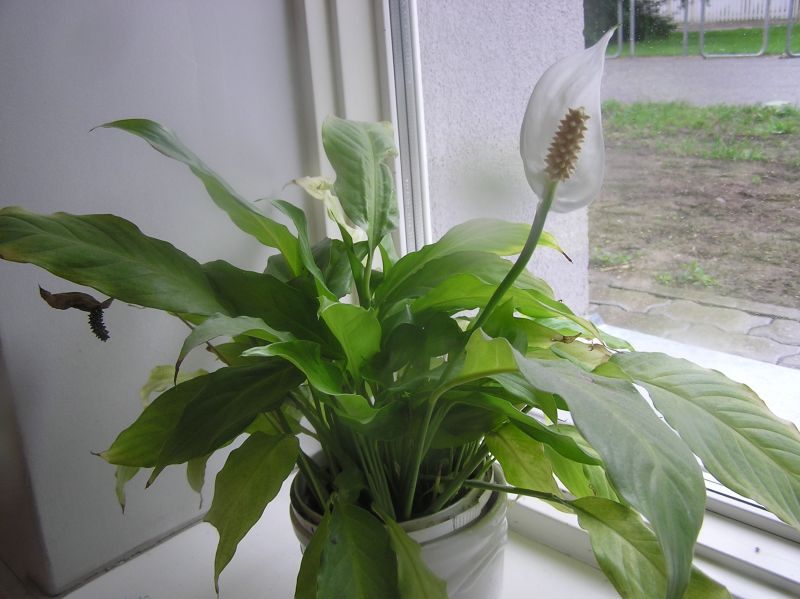 2013-05-29-41.jpg