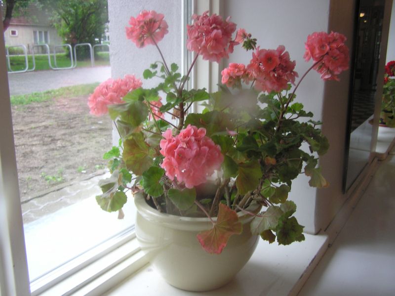 2013-05-29-43.jpg