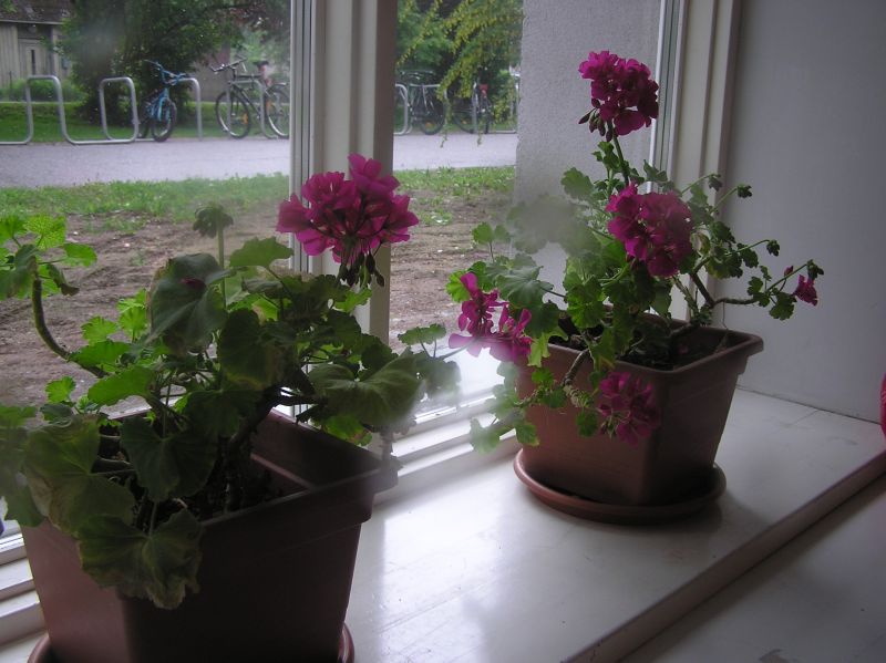 2013-05-29-44.jpg