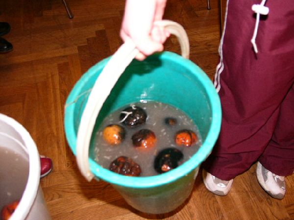 86.JPG