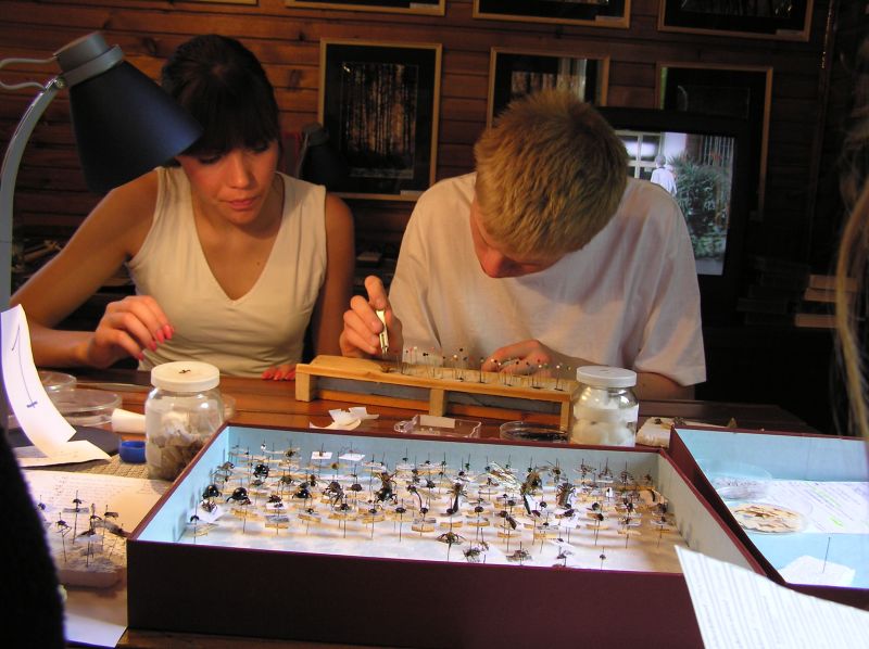 106.jpg