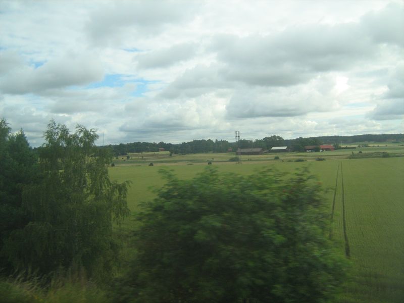 1172.jpg