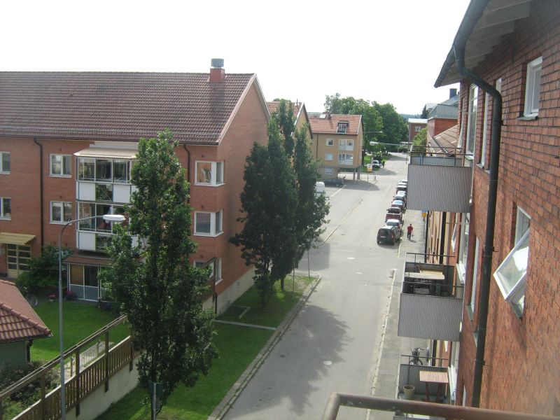 1195.jpg