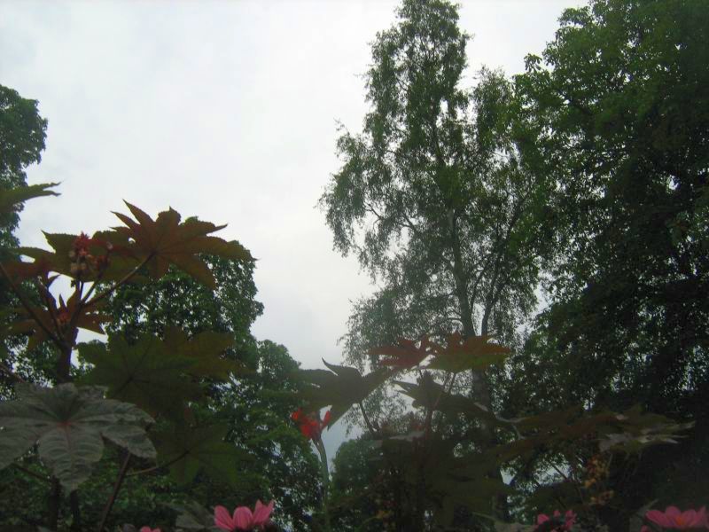 1237.jpg