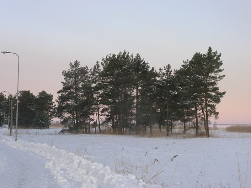 00-290010.jpg