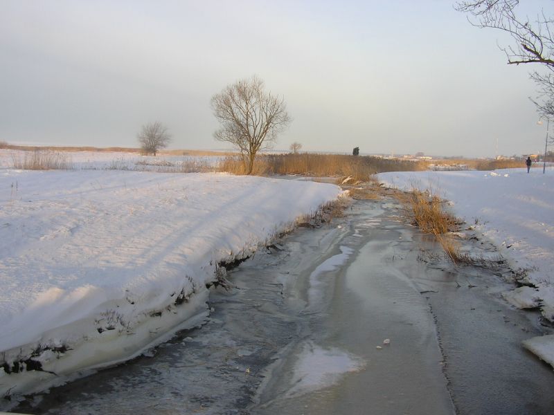 00-290043.jpg