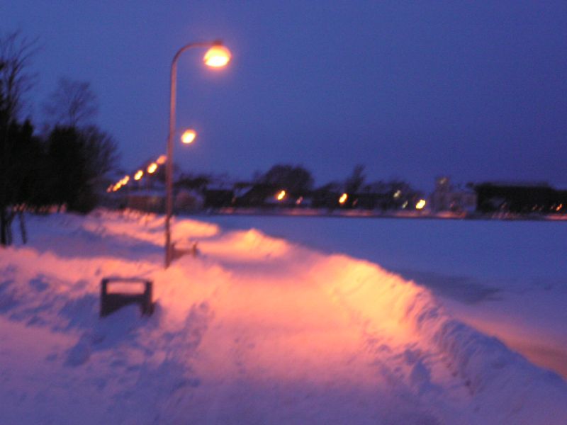 01-290050.jpg