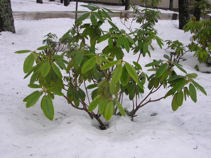 04-310002.jpg