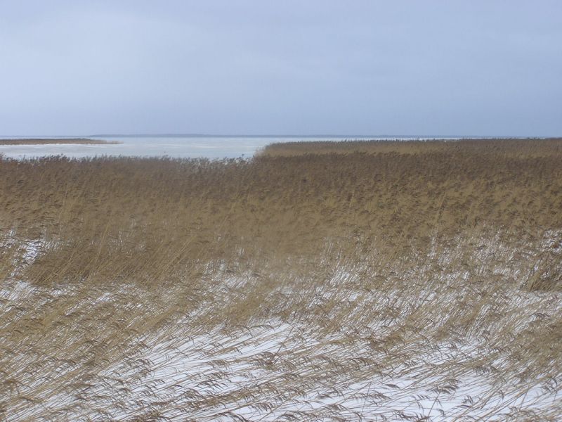 04-310047.jpg