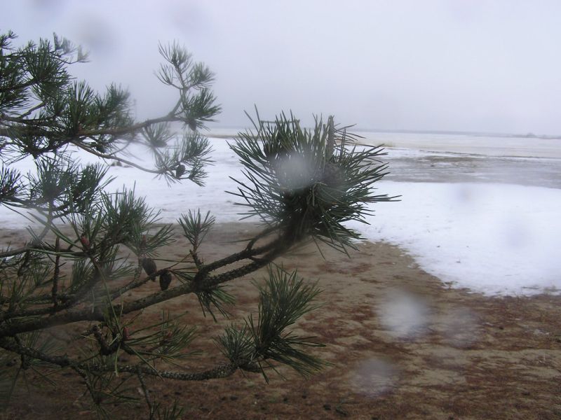 04-310056.jpg