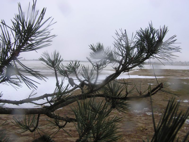04-310057.jpg