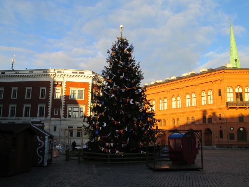IMG_0236.jpg