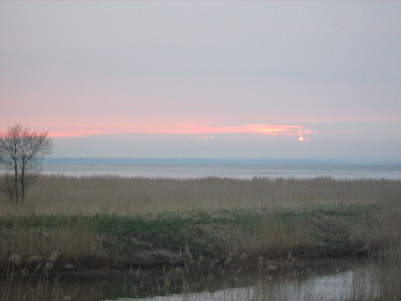 IMG_2185.JPG