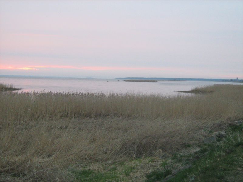 IMG_2188.JPG