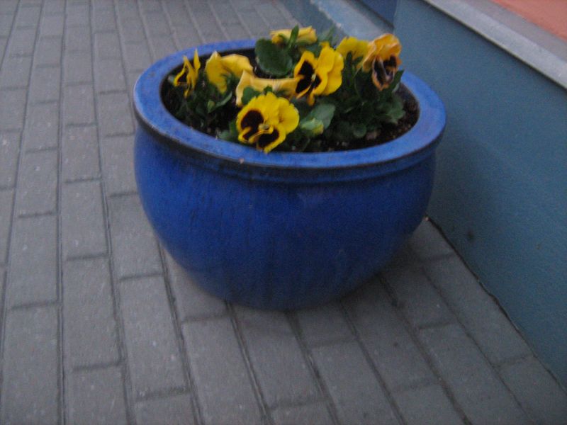 IMG_2204.JPG