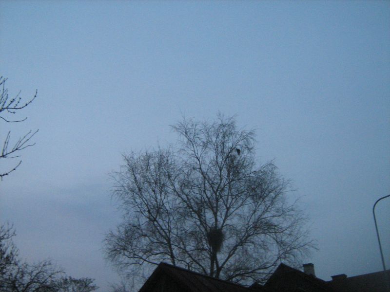 IMG_2211.JPG