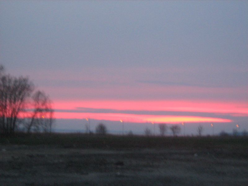 IMG_2213.JPG