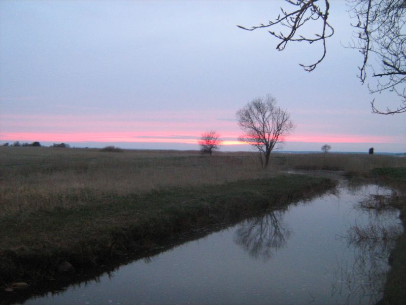 IMG_2216.JPG