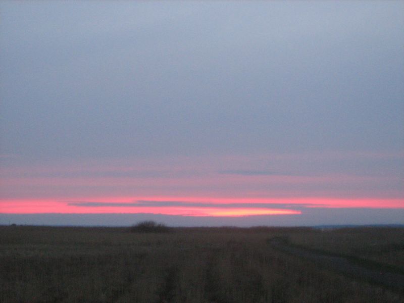 IMG_2218.JPG