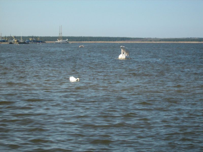IMG_2262.JPG