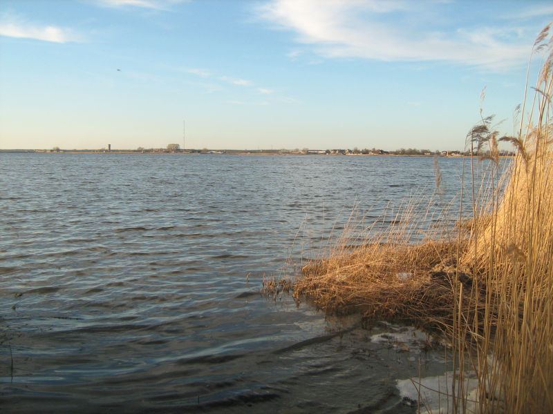 IMG_2294.JPG