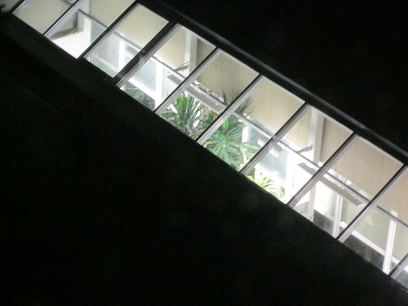 0536.jpg