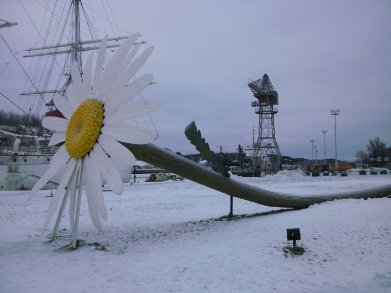 sany0100.jpg
