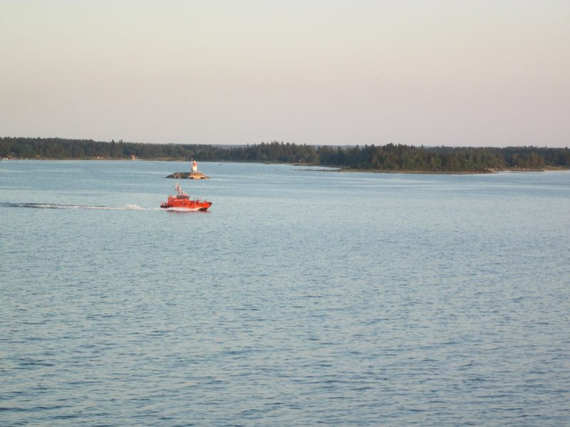 IMG_1052.jpg