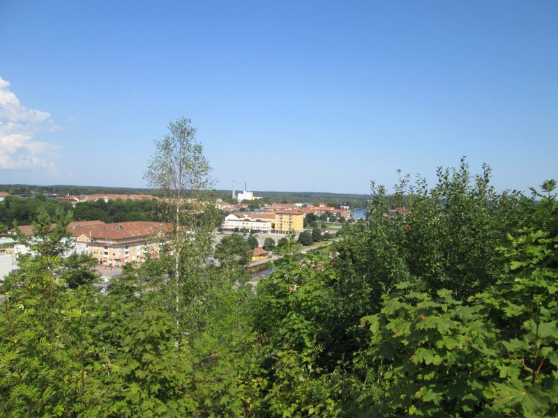 IMG_1066.jpg