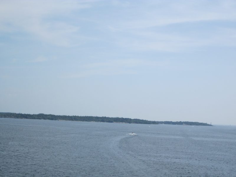 IMG_1096.jpg