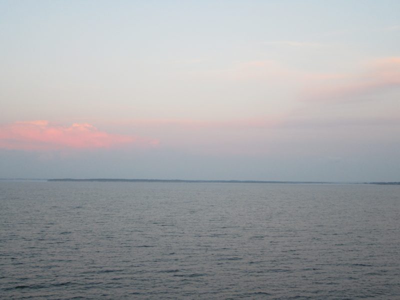 IMG_1100.jpg