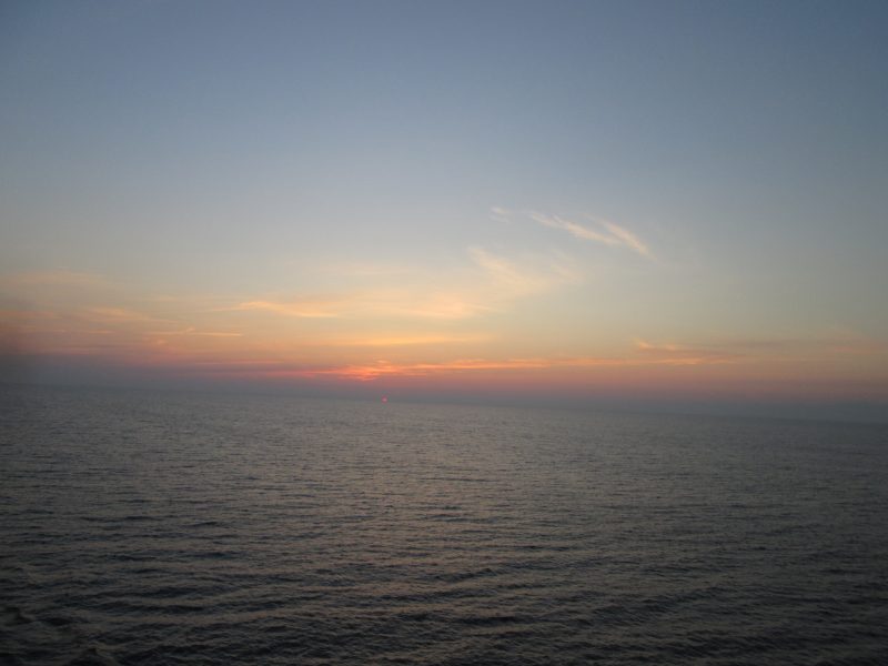 IMG_1106.jpg