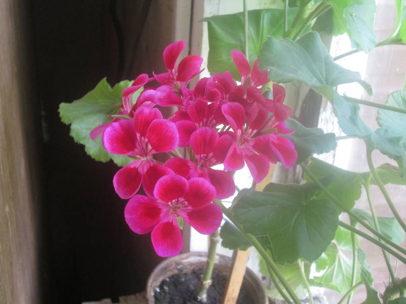img_2291.jpg