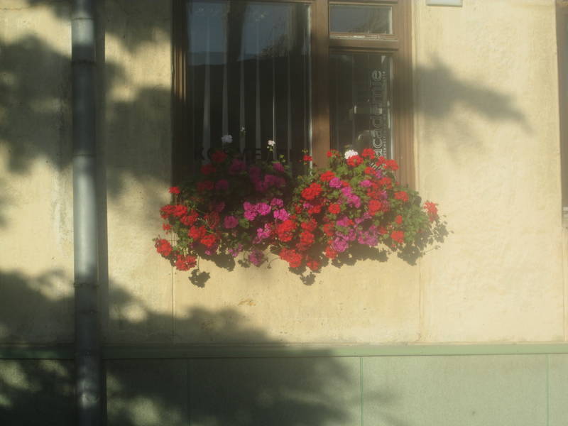 img_2351.jpg