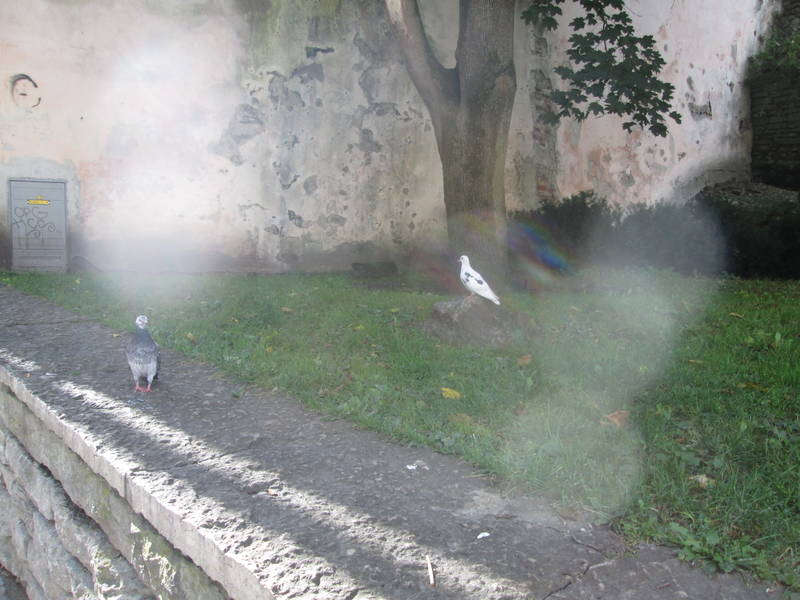 img_2455.jpg