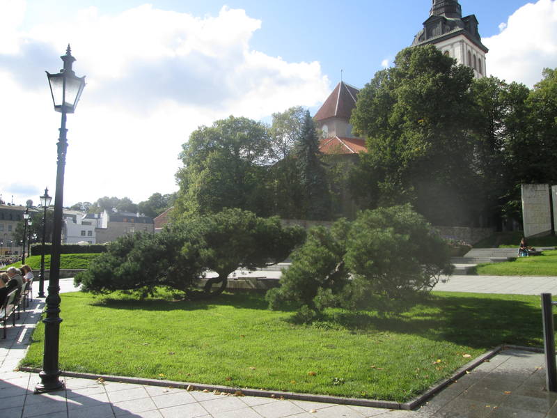 img_2467.jpg