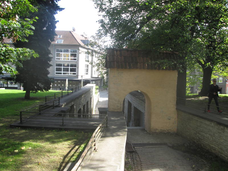img_2478.jpg