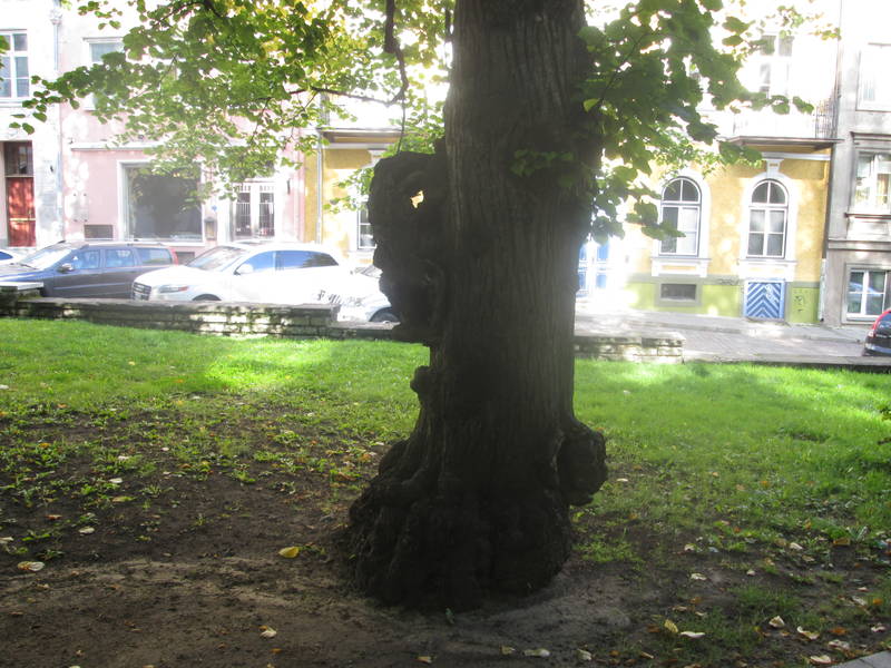 img_2479.jpg