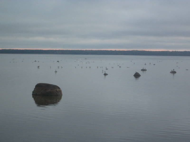 img_2537.jpg