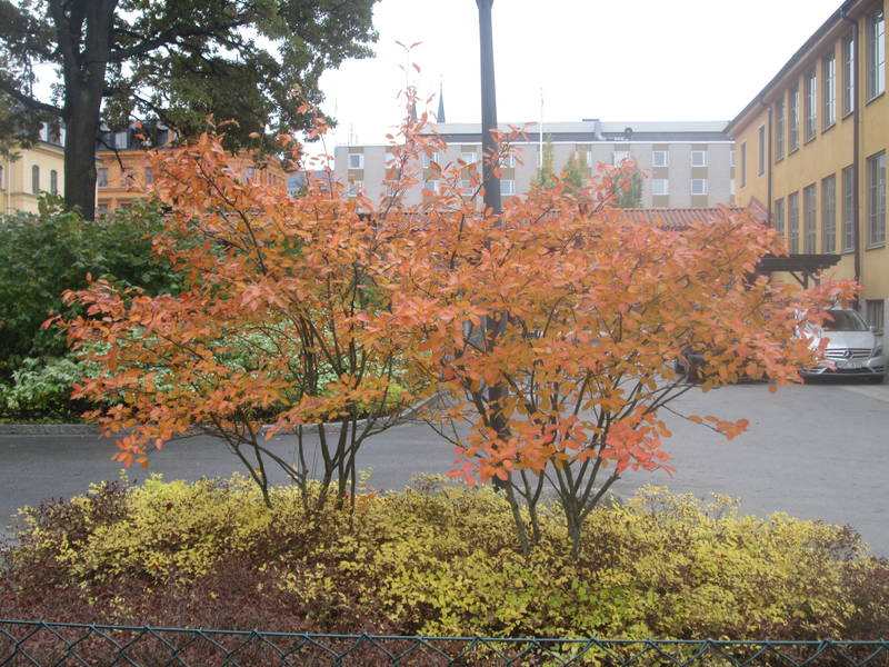 img_2577.jpg