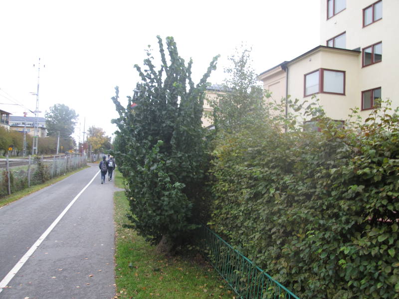 img_2579.jpg