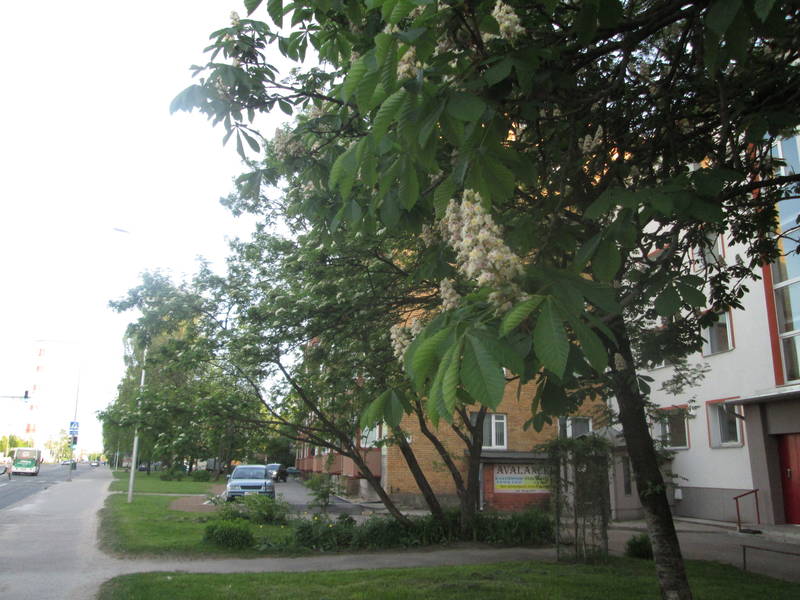 img_2637.jpg