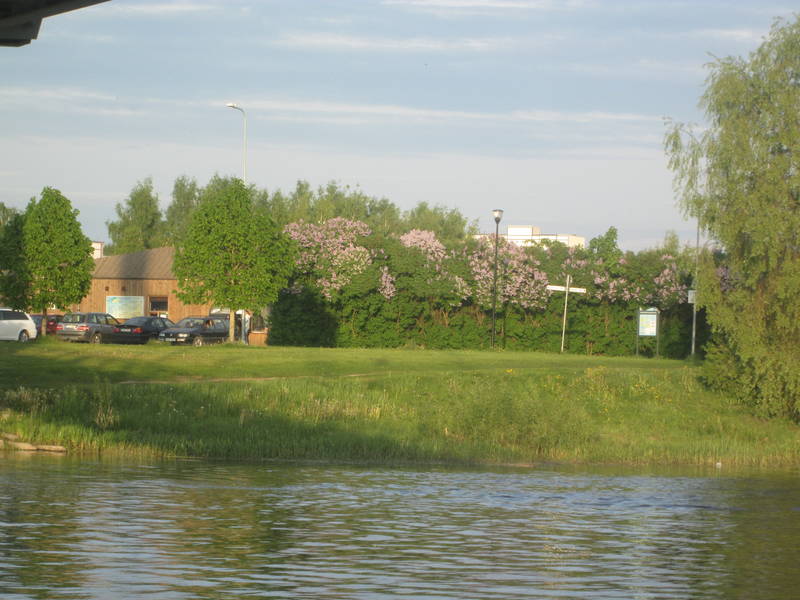 img_2658.jpg