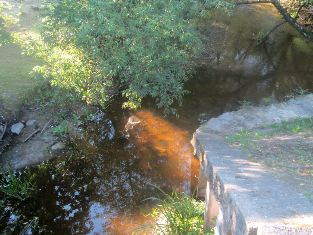 img_3101.jpg