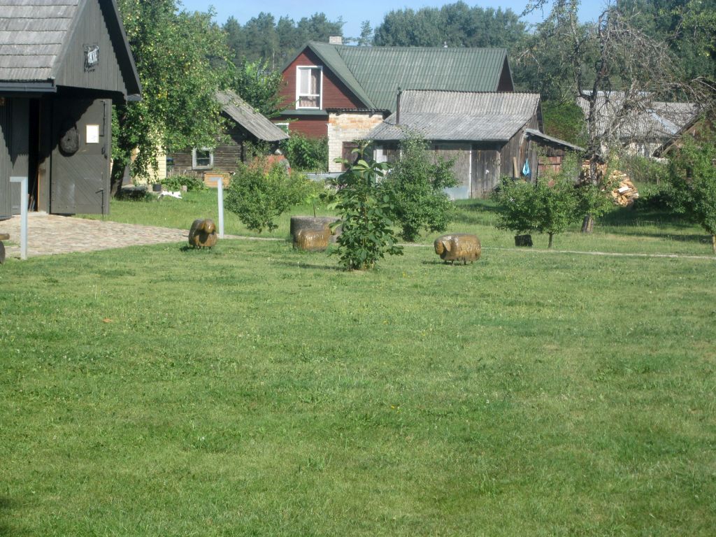 img_3142.jpg