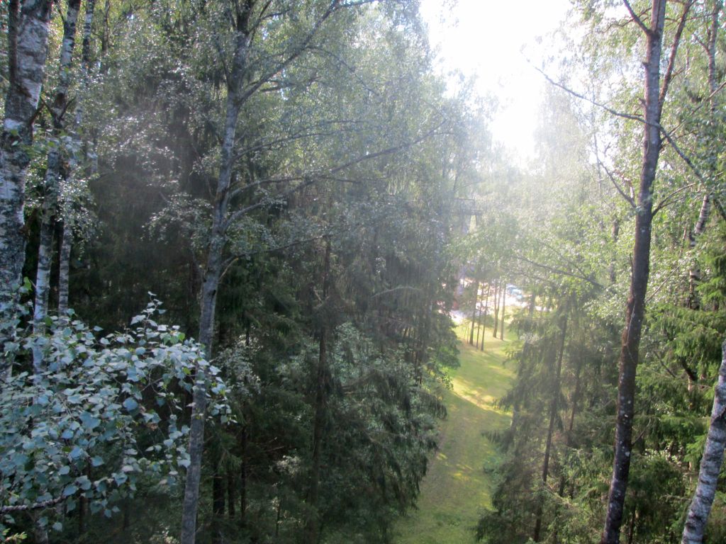 img_3214.jpg
