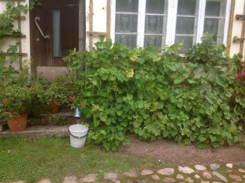 2173.jpg